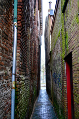 Kampen 2016 – Alley