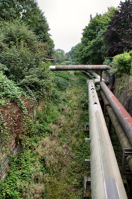 Trasse der ehemaligen Zechenbahn Shamrock (Wanne-Eickel) / 26.08.2017