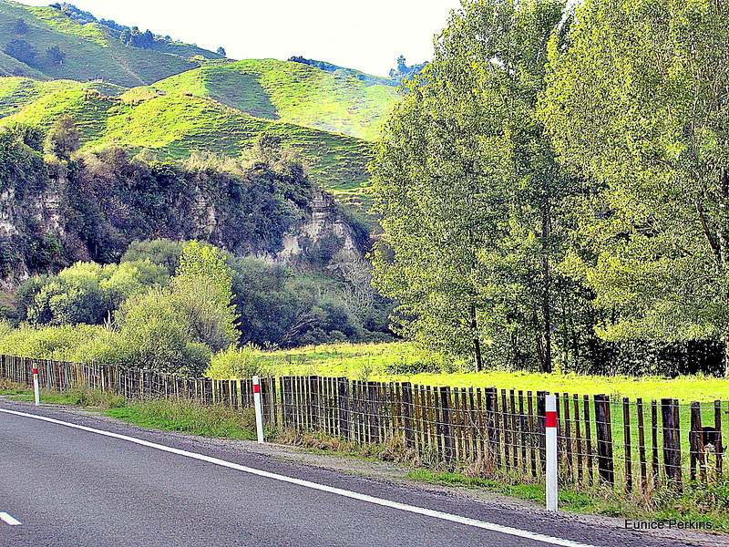 Traveling North From Taumarunui.