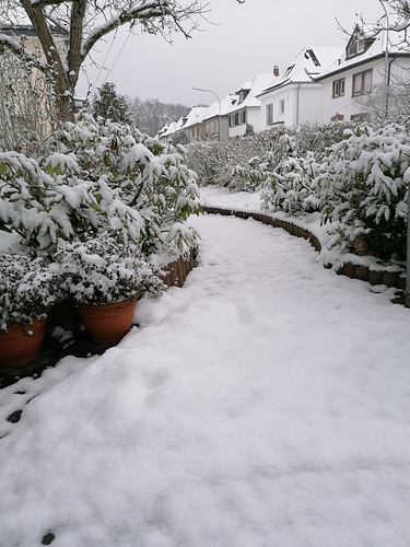 Schnee am Morgen, dann braucht's keinen Frühsport mehr