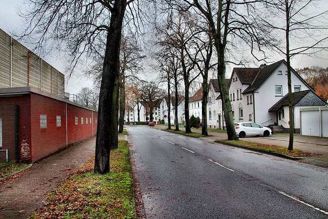 Dechenstraße (Gladbeck-Zweckel) / 24.12.2022