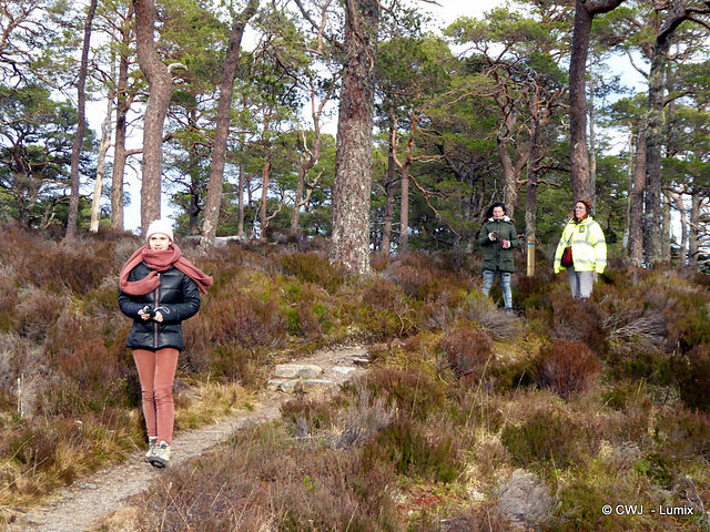 Glen Affric