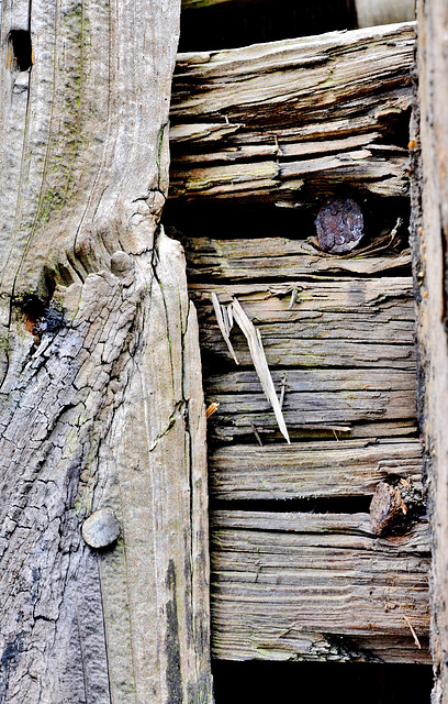 Weathered Fence