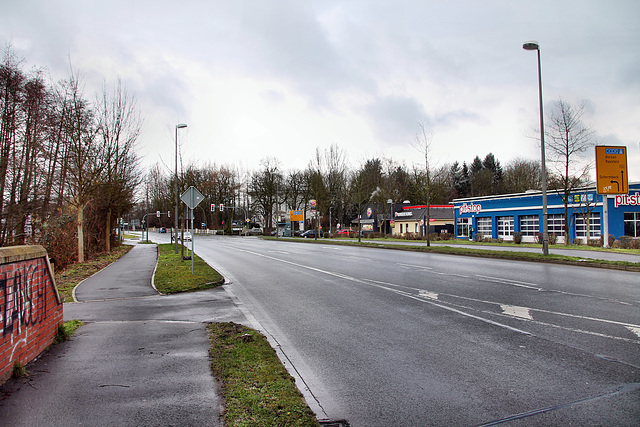 B224 Borkener Straße (Hervest-Dorsten) / 4.02.2018