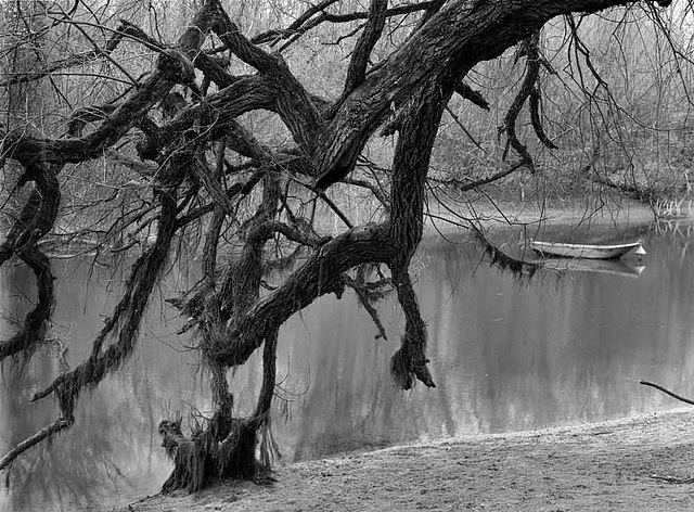 Waldpark - Bellenkrappen