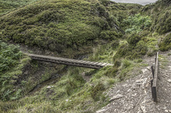 Gate Side Clough   /   July 2017