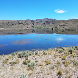 20180713 105116 20180713 105116