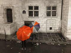 The Umbrellas of Paris