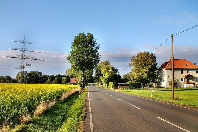 Westring (Castrop-Rauxel-Pöppinghausen) / 25.09.2021