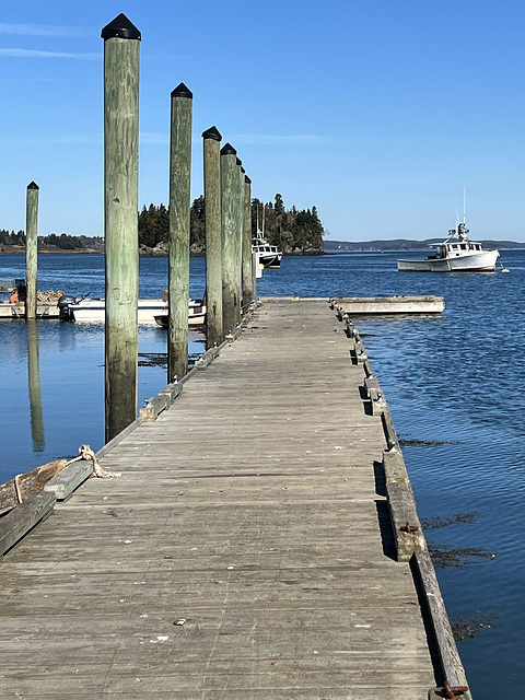 on the dock