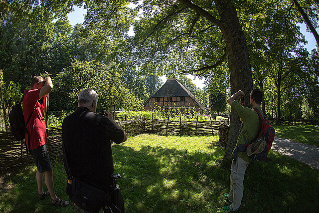 20140719 4179VRFw [D~LIP] HDR1  Freilichtmuseum Detmold