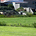 20140908 4902VRAw [NL] Star (Sturnus vulgaris), Terschelling