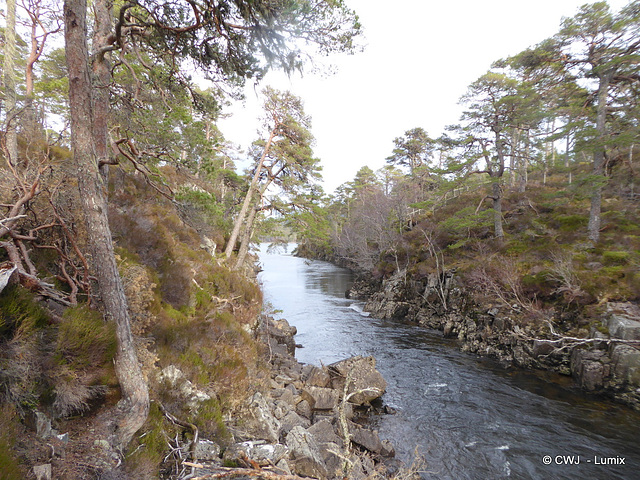 Glen Affric