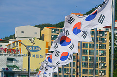 Opko, South Korea