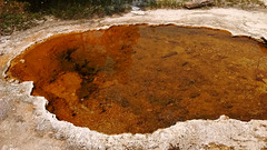 Une piscine à éviter / À pool to avoid