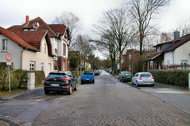 Baarestraße in der Werkssiedlung Stahlhausen (Bochum) / 14.01.2019