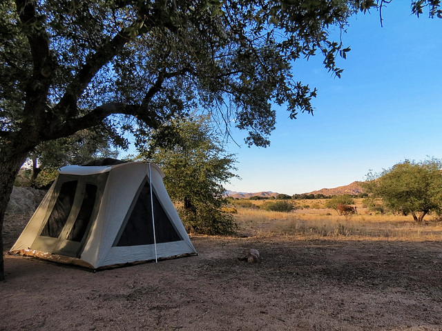 Canvas Cabin