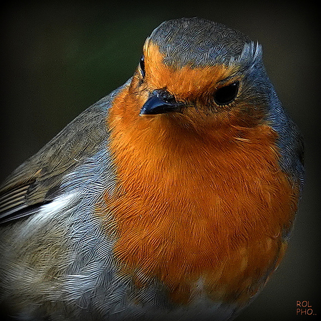 Très strict, dans son regard..., very strict, in his eyes