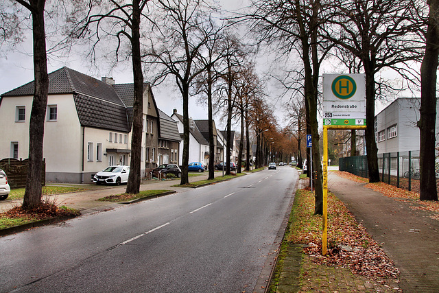 Arenbergstraße (Gladbeck-Zweckel) / 24.12.2022