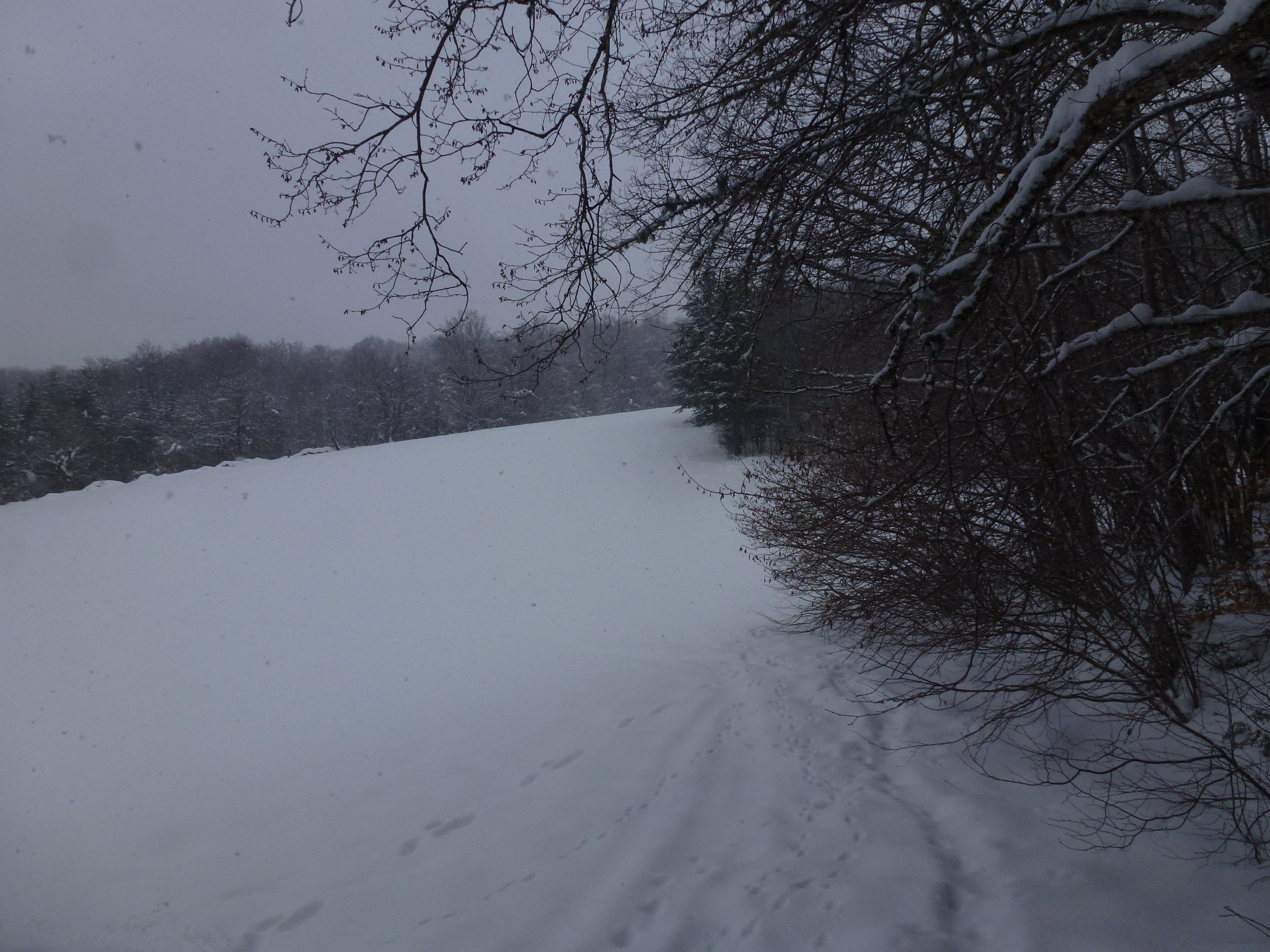 20150131 Raquettes Vercors La Goulandiere (25) al