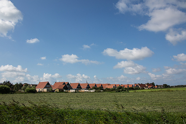 20140908 4901VRAw [NL] Terschelling