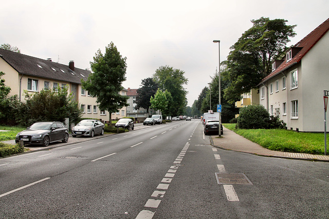 Holsterhauser Straße (Wanne-Eickel) / 26.08.2017