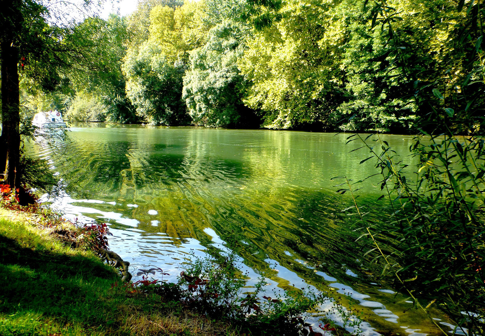 Au fil de la Charente...