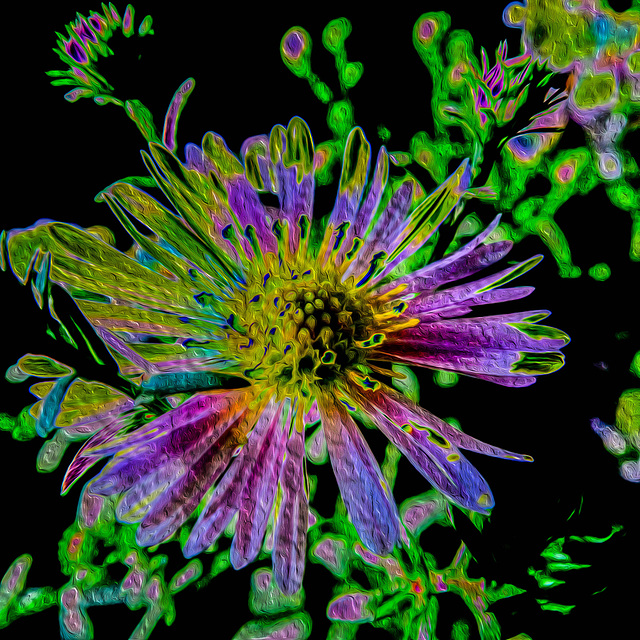 flower painting
