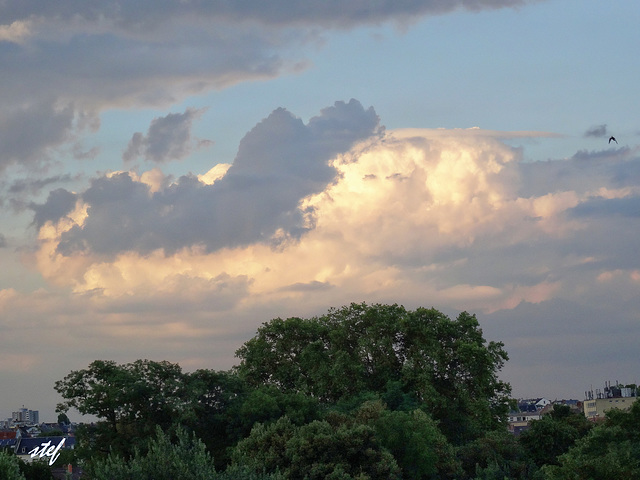 sleeping on the cloud