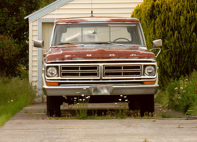 1972 Ford with daisies