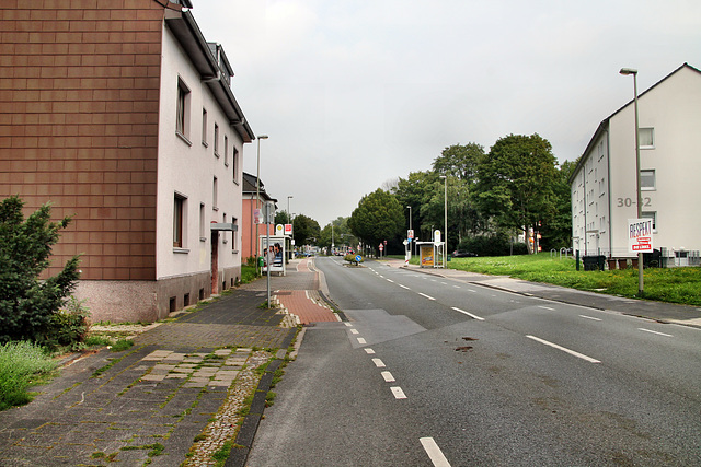 Holsterhauser Straße (Wanne-Eickel) / 26.08.2017