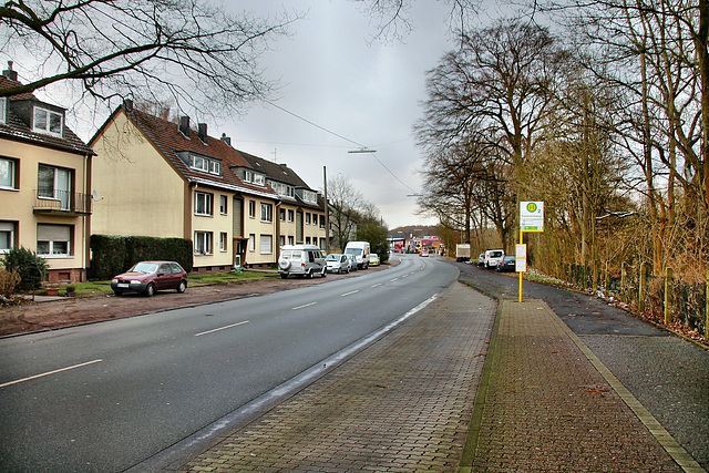 Pliesterbecker Straße (Dorsten-Holsterhausen) / 4.02.2018