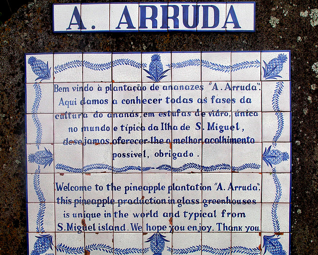 "A. ARRUDA"