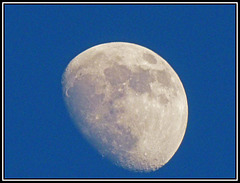 Moon (4)