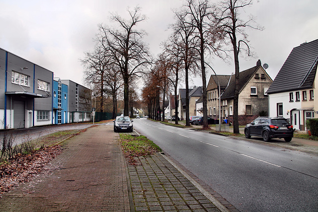 Arenbergstraße (Gladbeck-Zweckel) / 24.12.2022