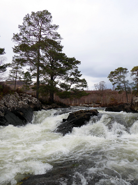 Glen Affric