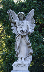 Holmgren Grave in Greenwood Cemetery, September 2010