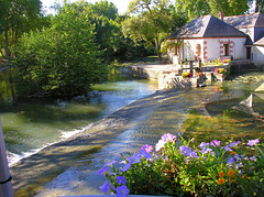 ... quiétude liquide ... (Azay Le Rideau)