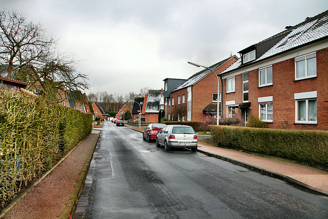 Fasanenkamp (Dorsten-Holsterhausen) / 4.02.2018