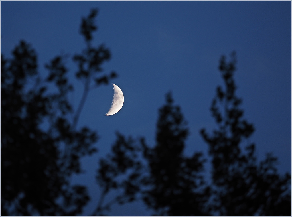 Day Five Moon