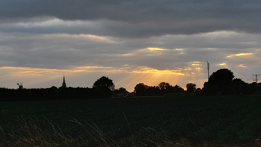 Crepuscular rays ( Sunbeams )