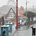 EOS R7 Peter Harriman 17 45 43 10107 duringTheRainstorm dpp