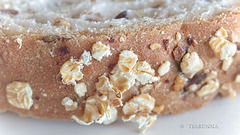 Macro - bread