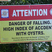 Warning. Dangerous oysters !