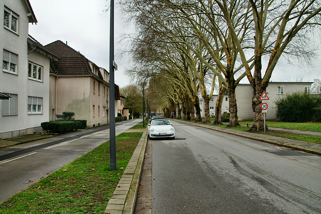 Marler Straße (Gelsenkirchen-Hassel) / 9.03.2019