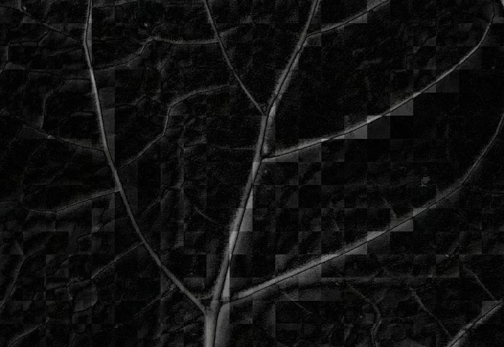 L'arbre aux pixels.