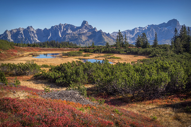 Herbst im Naturschutzgebiet Gerzkopf