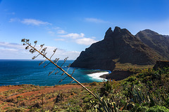 Teneriffa. Punta del Hidalgo