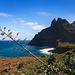 Teneriffa. Punta del Hidalgo