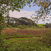 (Yet another) view from the River Otter Estuary.